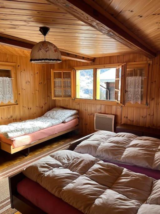 Chalet 3 Pieces De Caractere Mayoux Exteriér fotografie