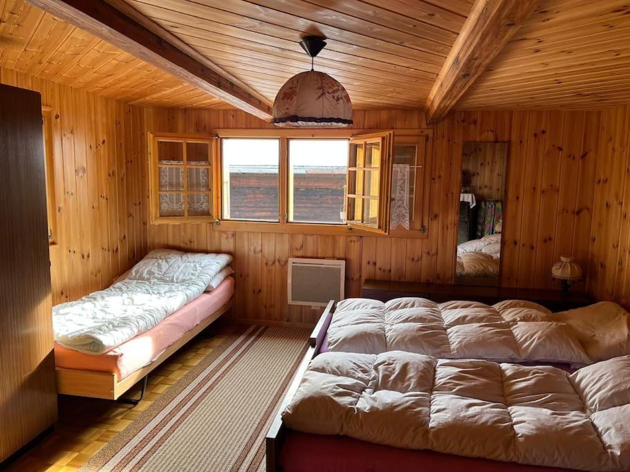 Chalet 3 Pieces De Caractere Mayoux Exteriér fotografie